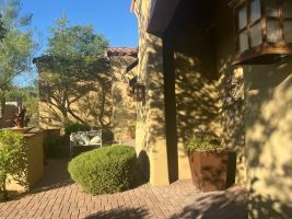 Sunlit courtyard with tan stucco walls, brick paving, trees, and trimmed shrubs.