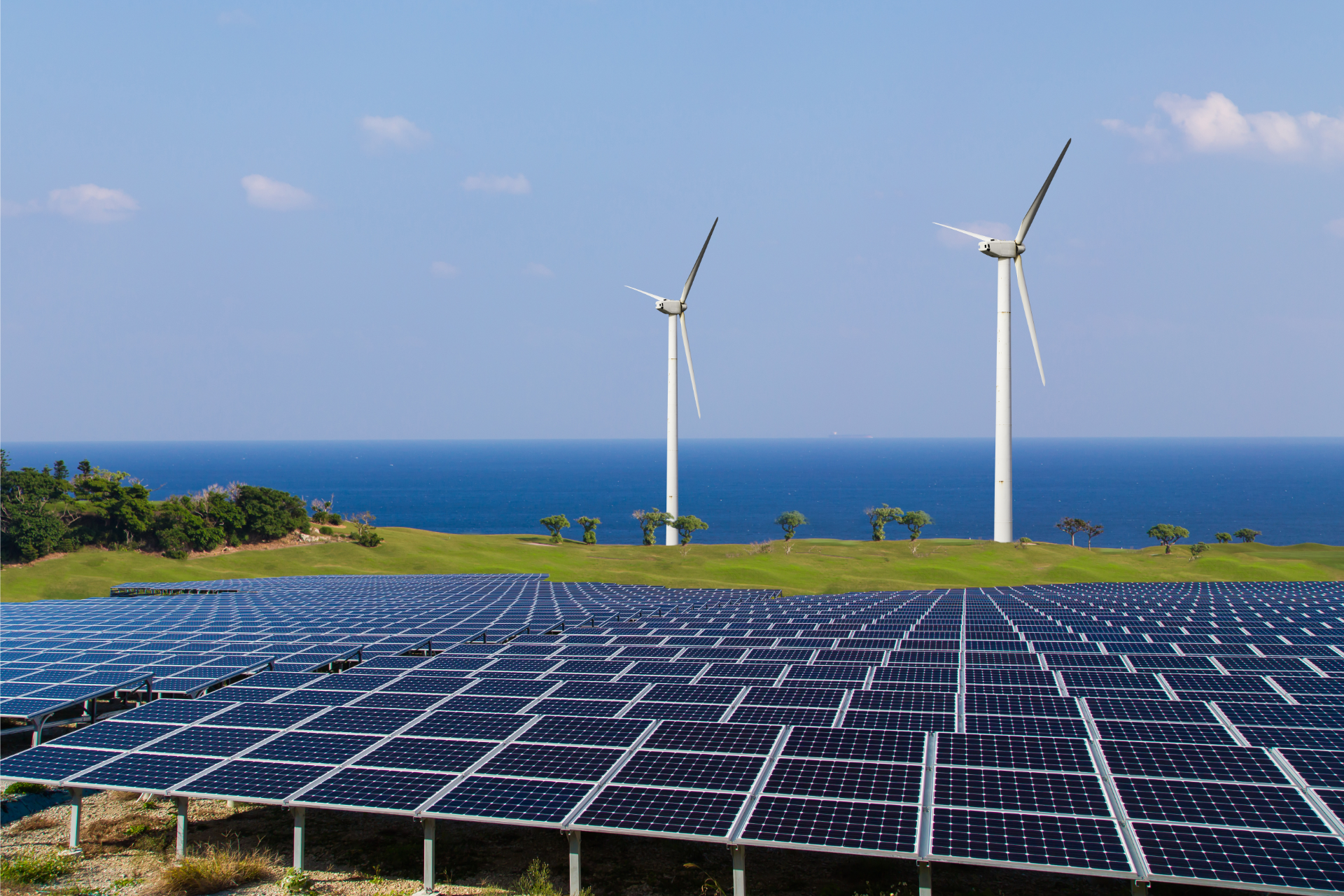 We invest in solar, wind, hydroelectric and geothermal energy projects to reduce our carbon footprint.