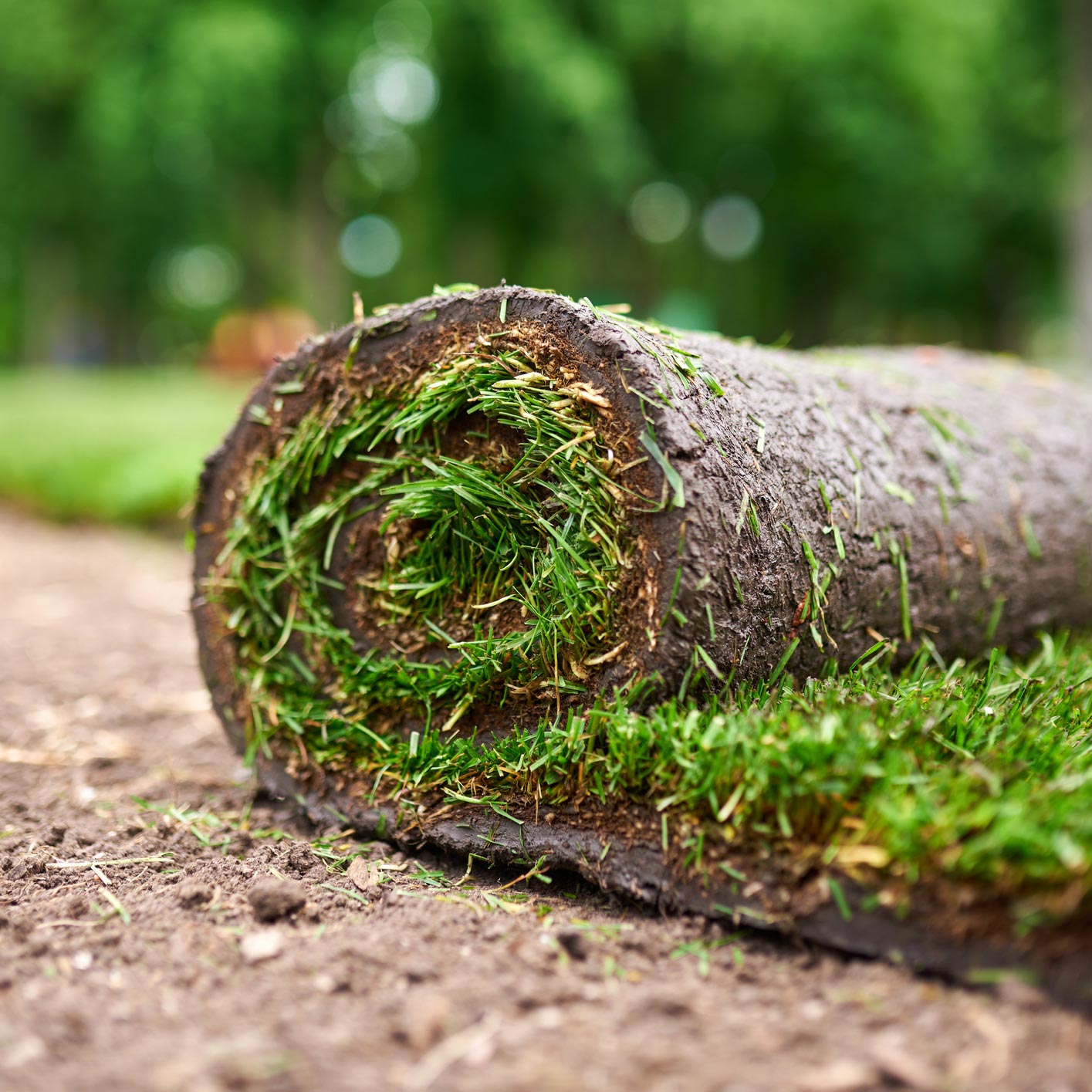 Sod Farm Ellicott, CO Schubert’s Sod Depot