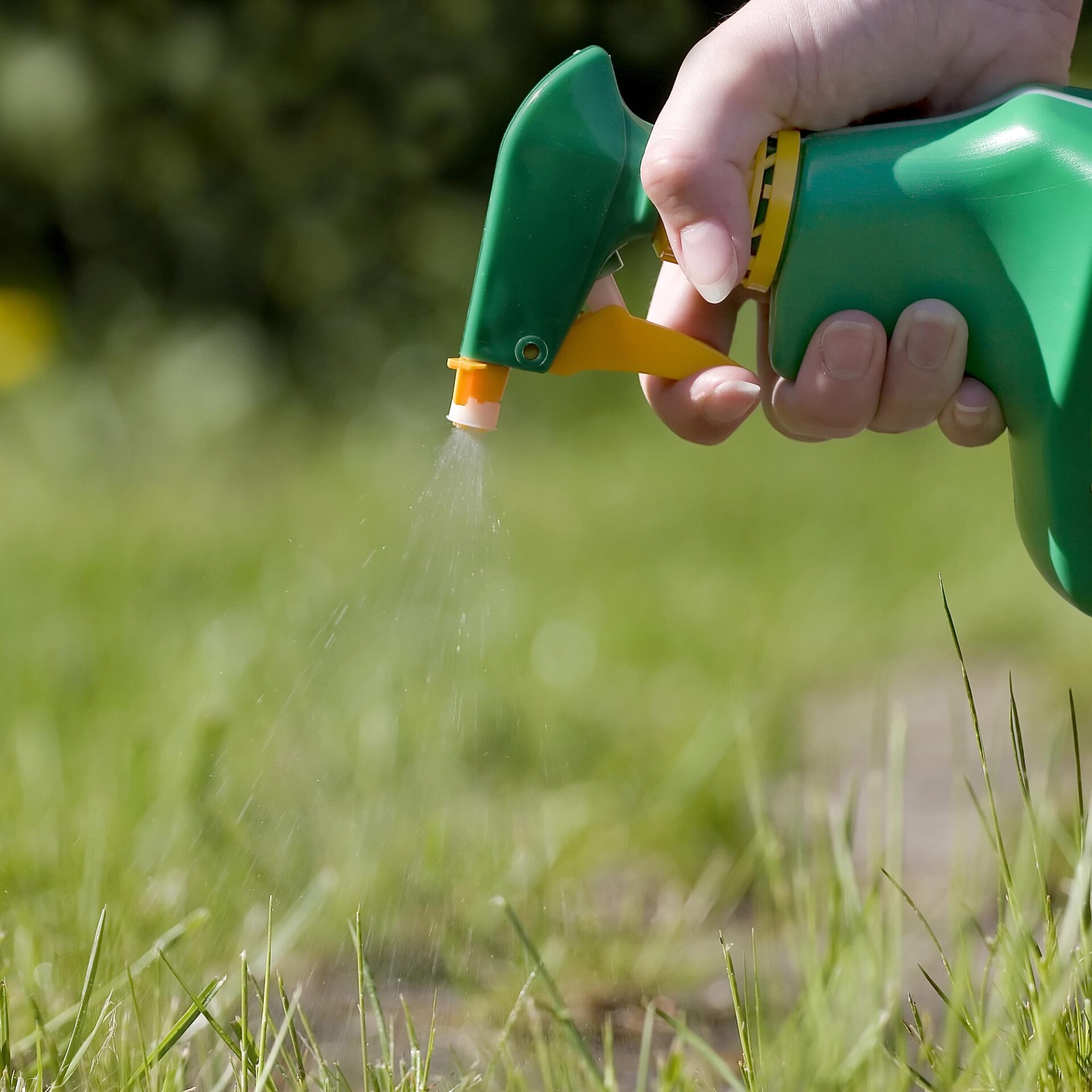 Sod Farm Ellicott, CO Schubert’s Sod Depot