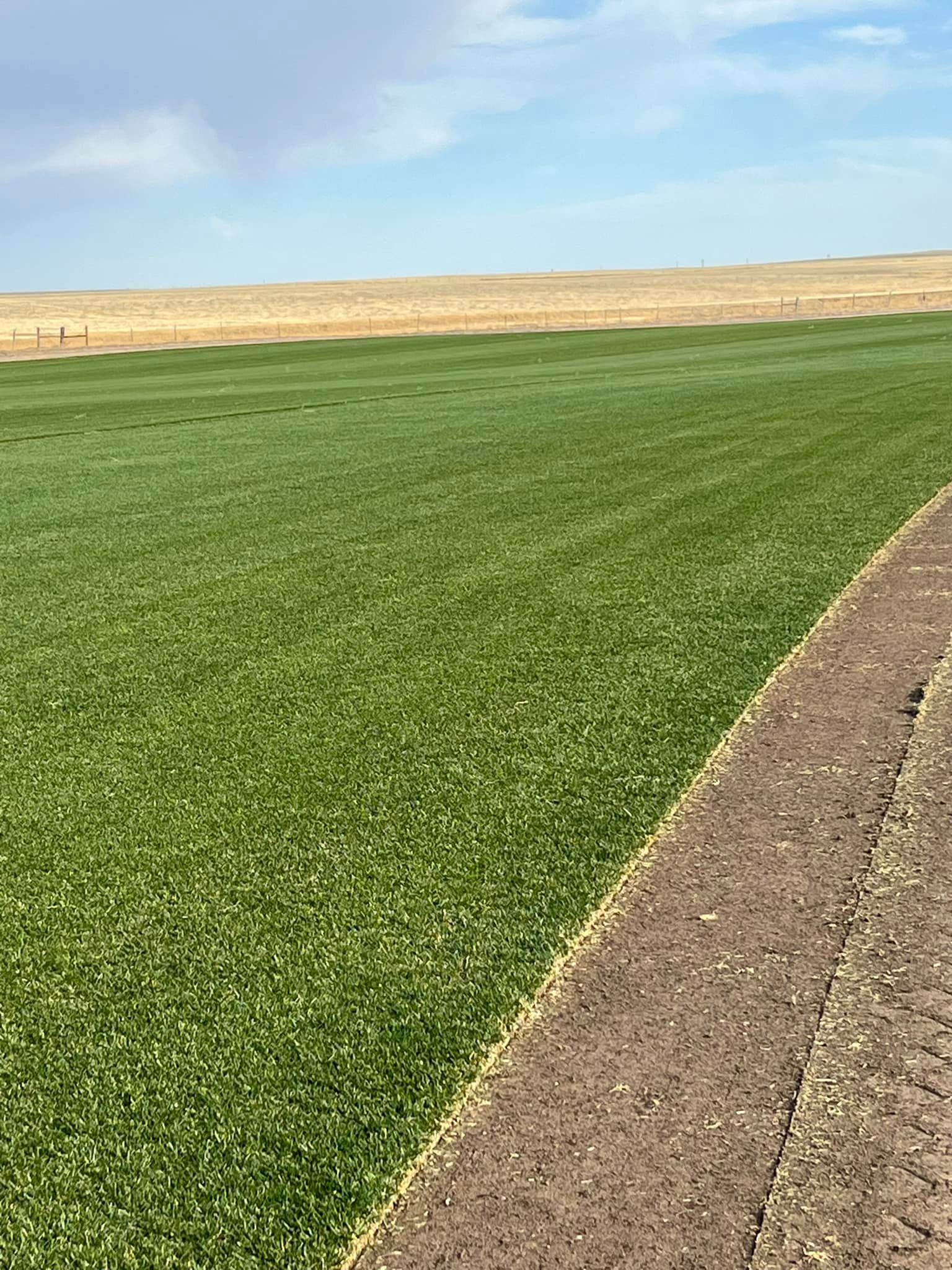 Sod Farm Ellicott, CO Schubert’s Sod Depot