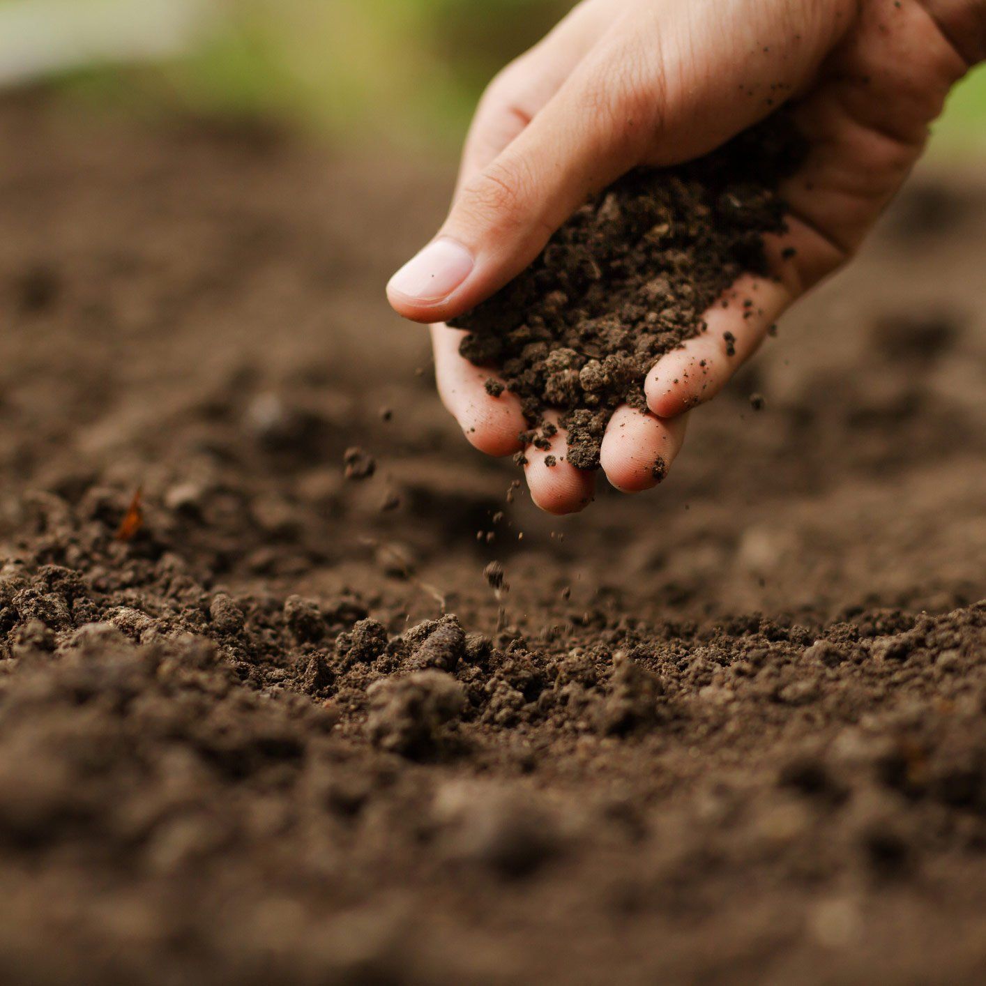 Soil Amendment — Ellicott, CO — Schubert’s Sod Depot