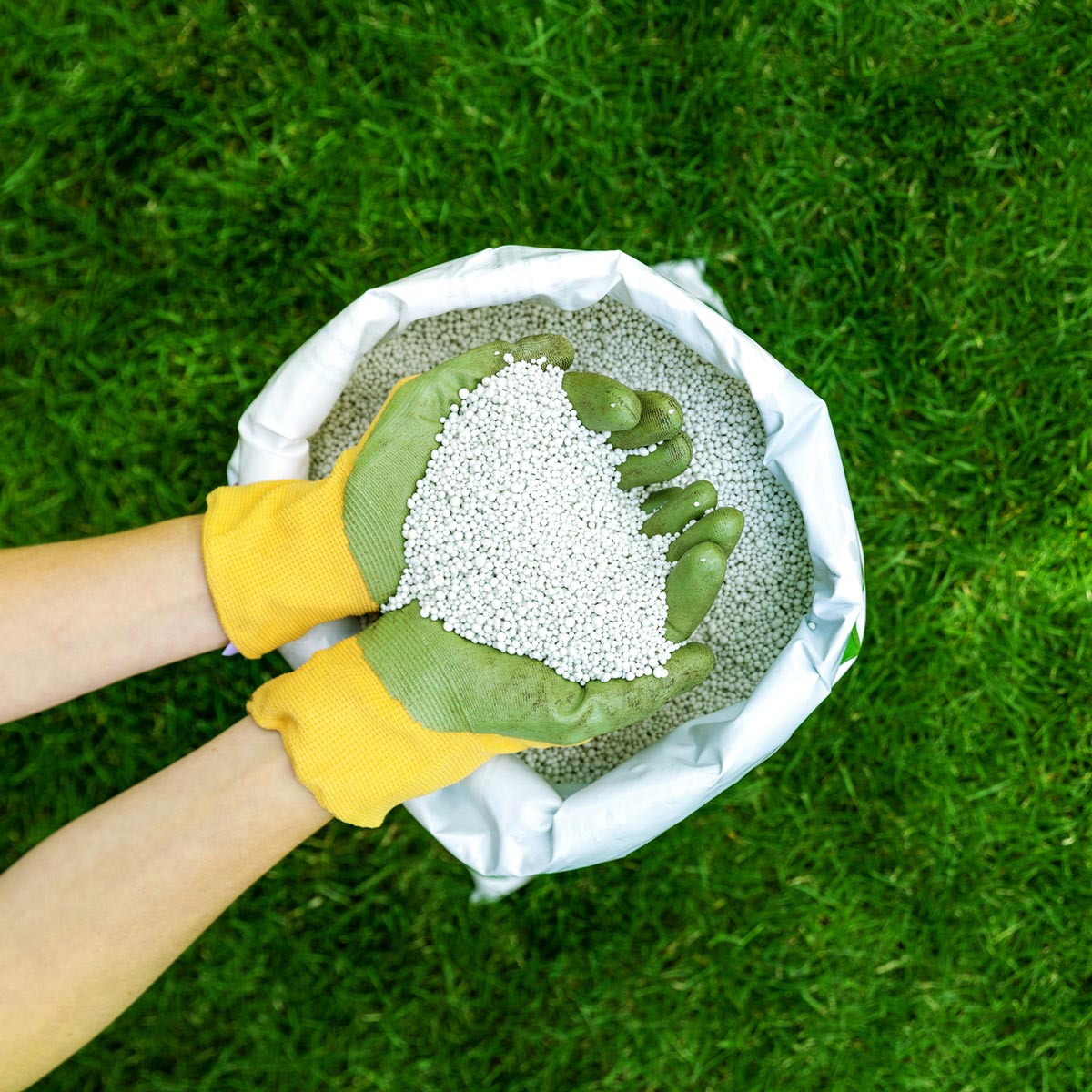 Fertilizer — Ellicott, CO — Schubert’s Sod Depot