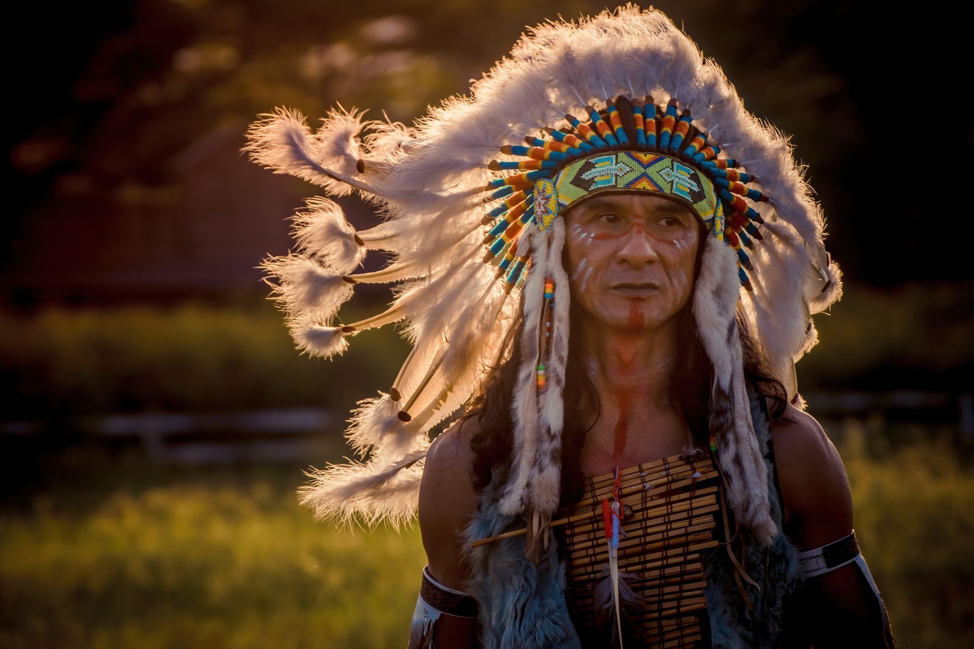 Native American man wearing headdress, face paint, and vest, standing in a field, backlit by sunlight.