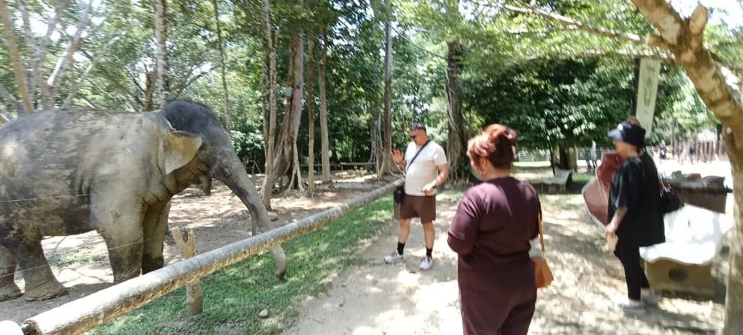 Malaysia Tours
KL Tour
Kuala Lumpur City Tour
Kuala Lumpur