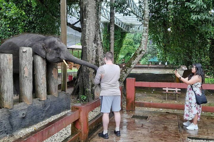 Malaysia Tours
KL Tour
Kuala Lumpur City Tour
Kuala Lumpur