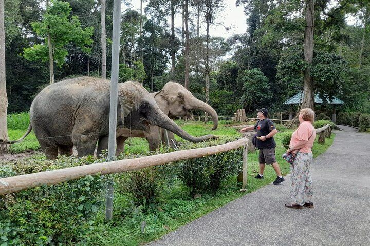 Malaysia Tours
KL Tour
Kuala Lumpur City Tour
Kuala Lumpur