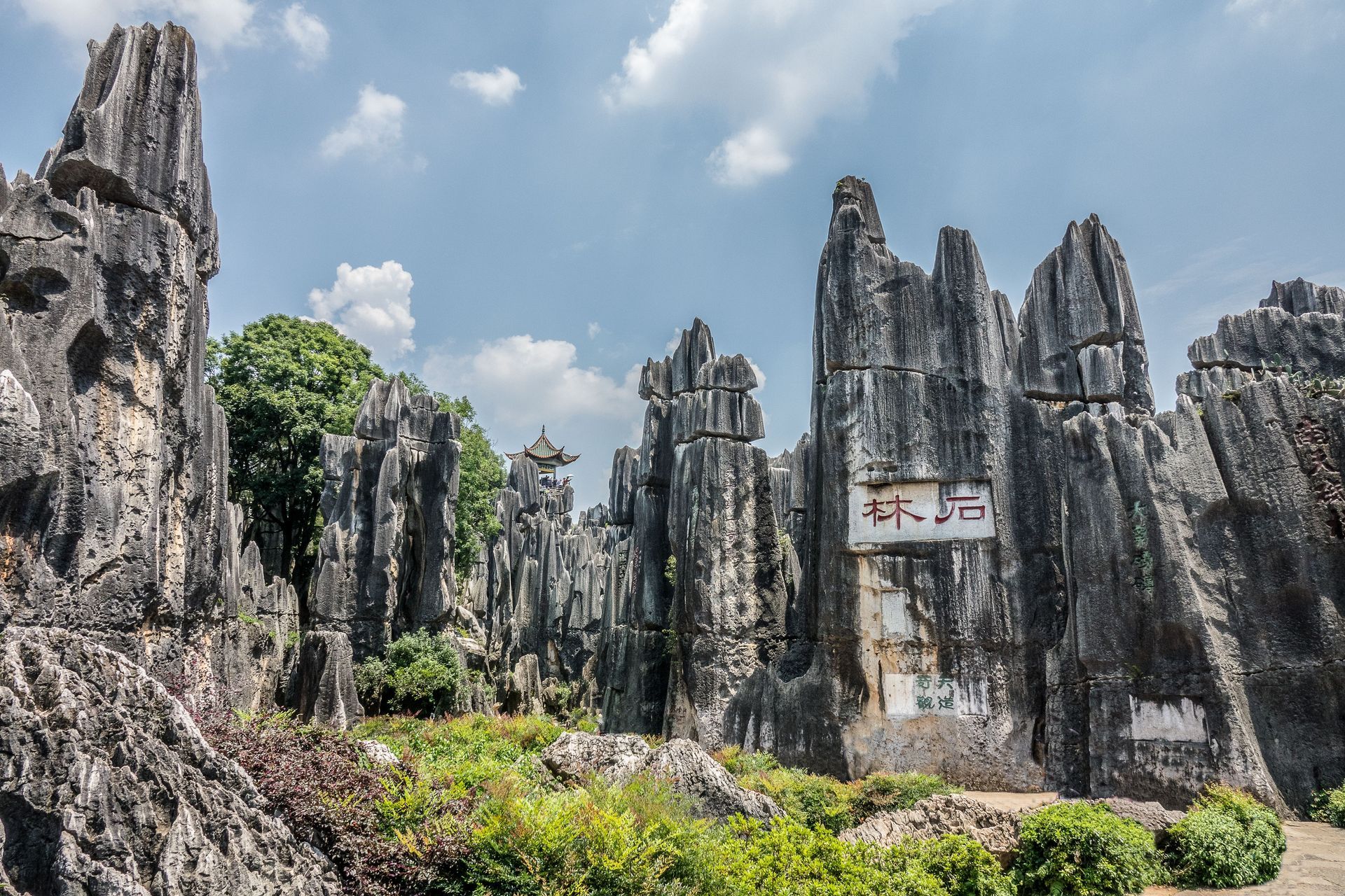 Da Nang
Vietnam
Halal Meals
Private Tour