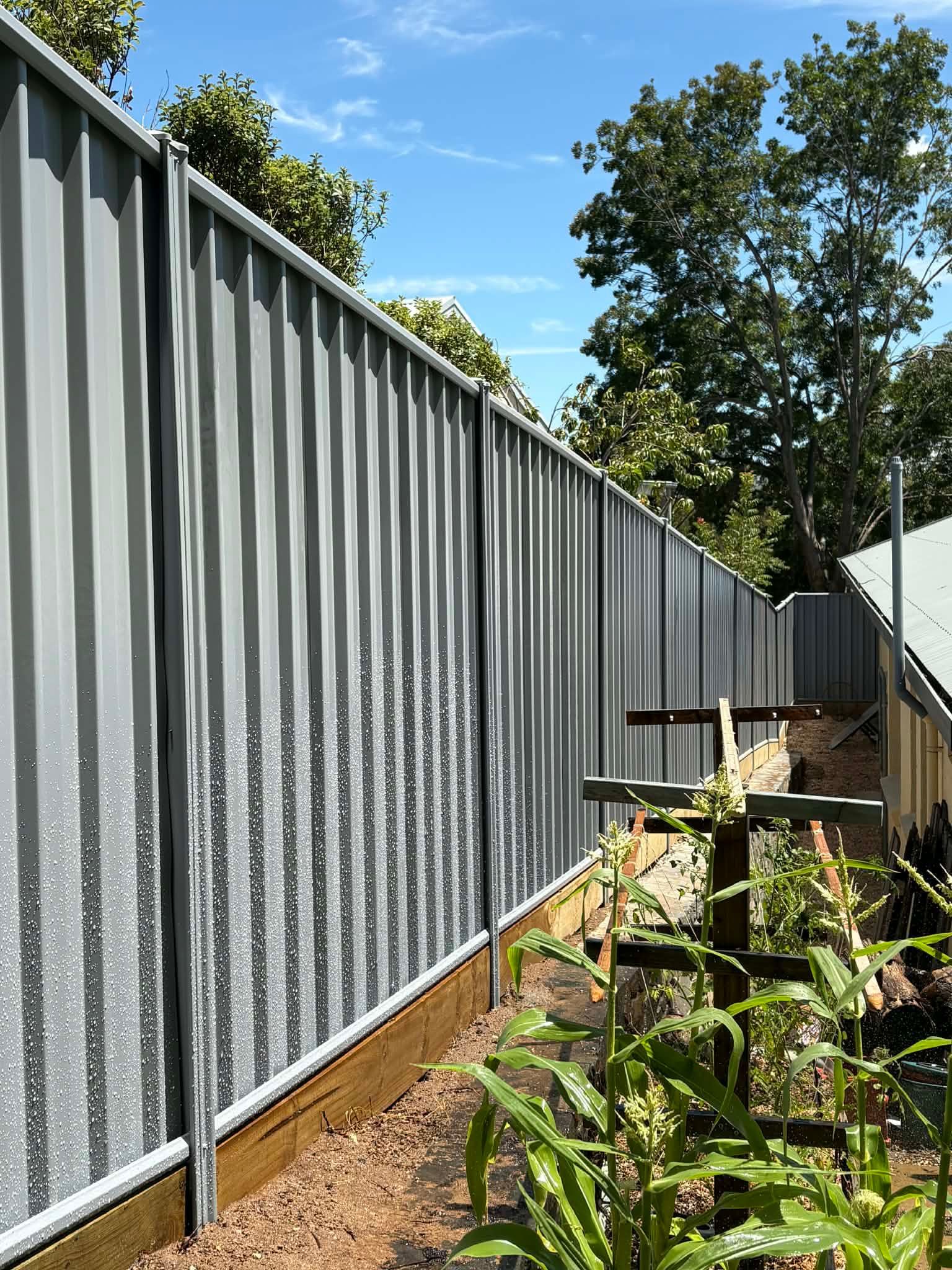 Tall gray metal fence beside a garden bed with plants and trees under a blue sky — GnB Fencing and Excavation in Queanbeyan, NSW