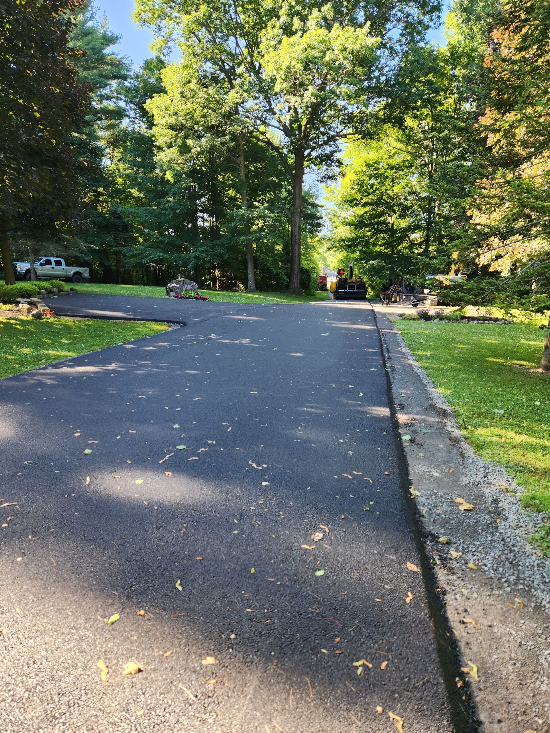 Curved asphalt path through a sunny green park with trees and grass on both sides