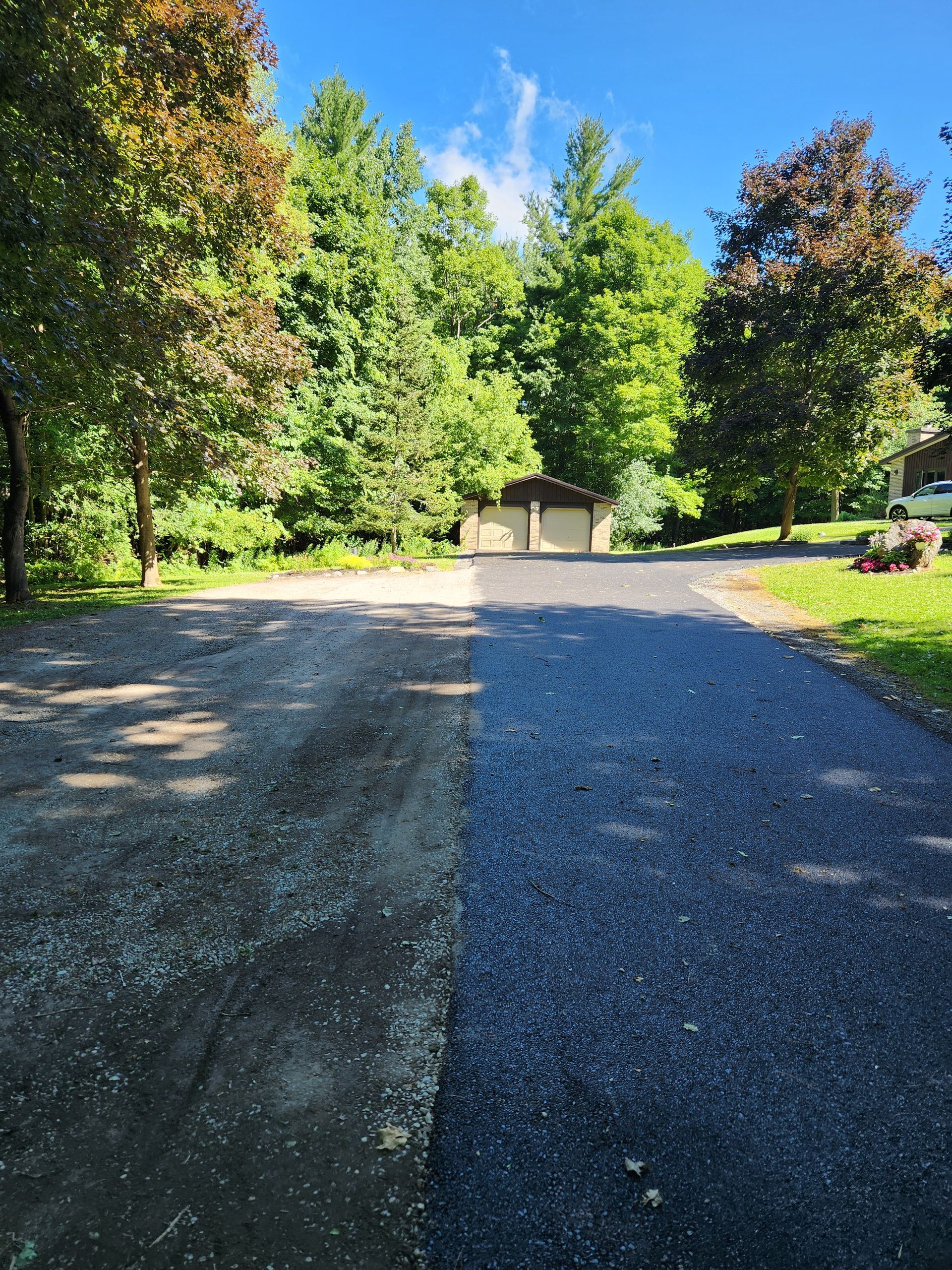 Gravel driveway leading to a small shed, lined by tall green trees under a bright blue sky