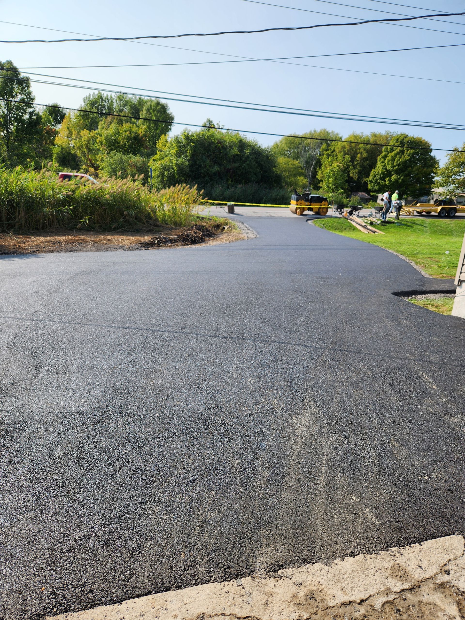 Curved asphalt driveway bordered by trees and shrubs under a clear sky