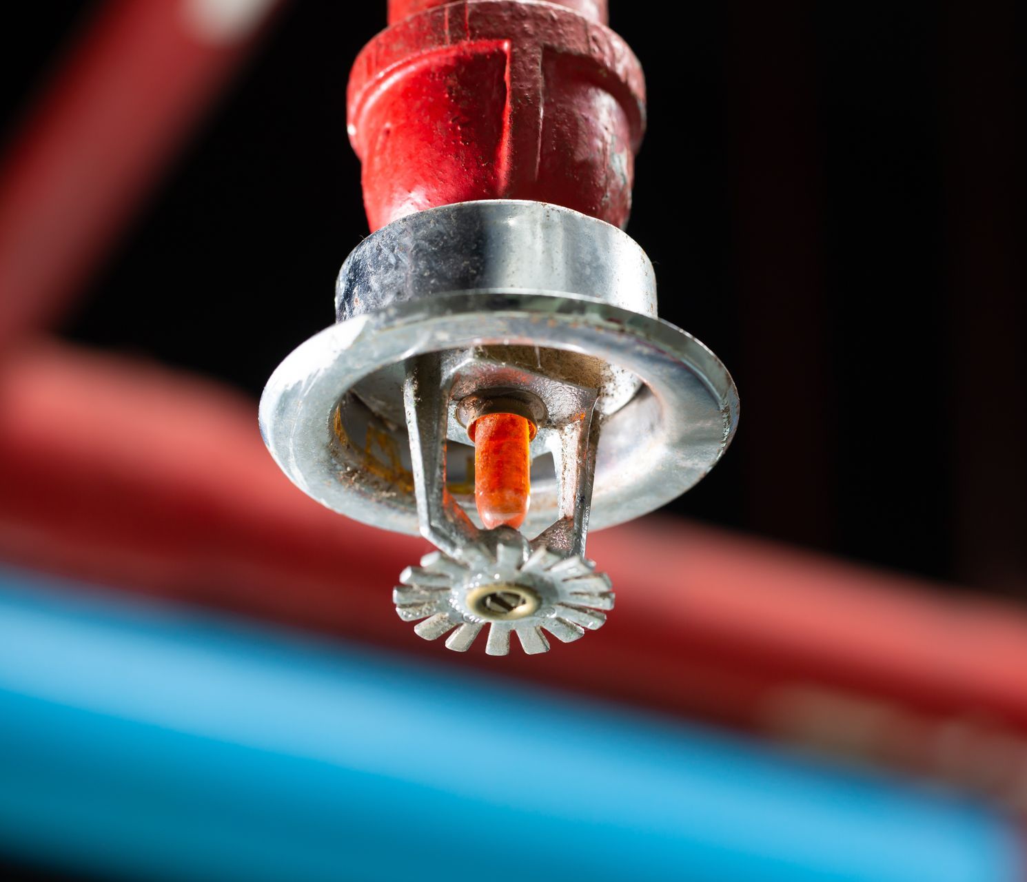 Red and chrome fire sprinkler head against a backdrop of red and blue pipes.