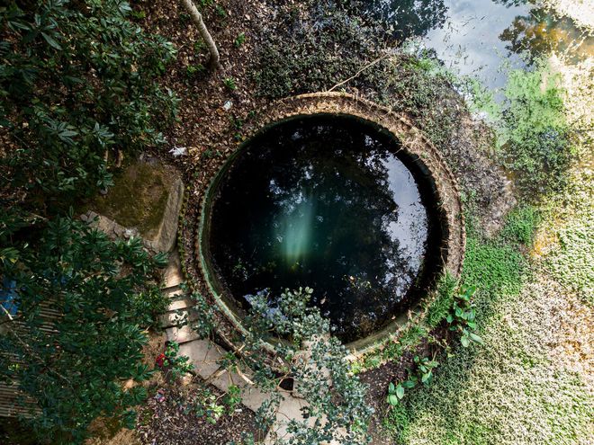 Circular stone well surrounded by greenery, with dark water reflecting trees overhead.