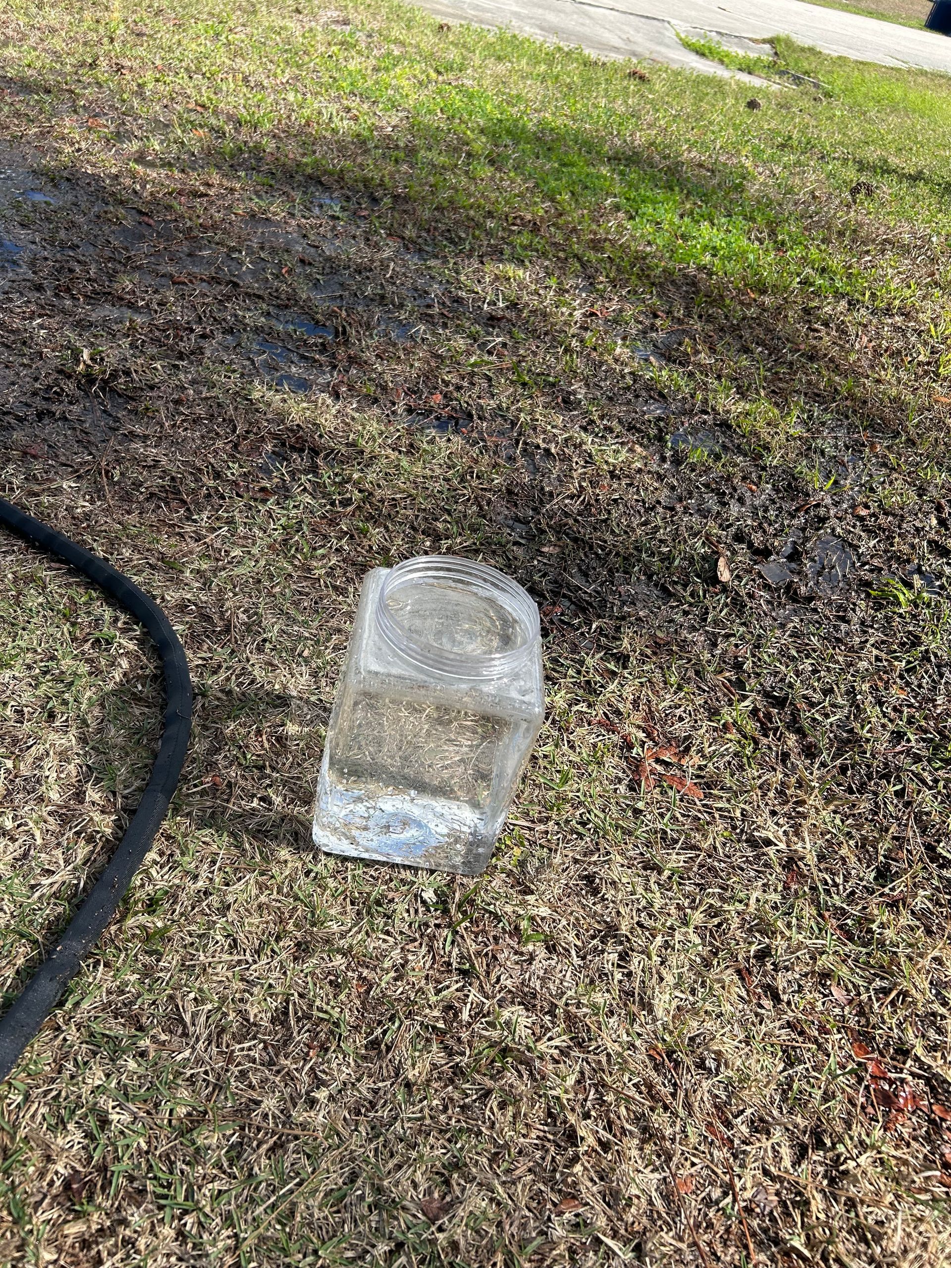 Clear plastic jug on a grassy lawn beside a black hose in sunlight