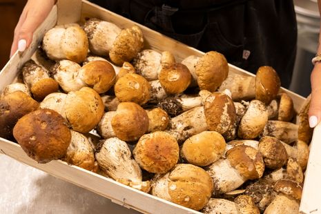 Funghi porcini, ovoli e tartufo bianco e nero