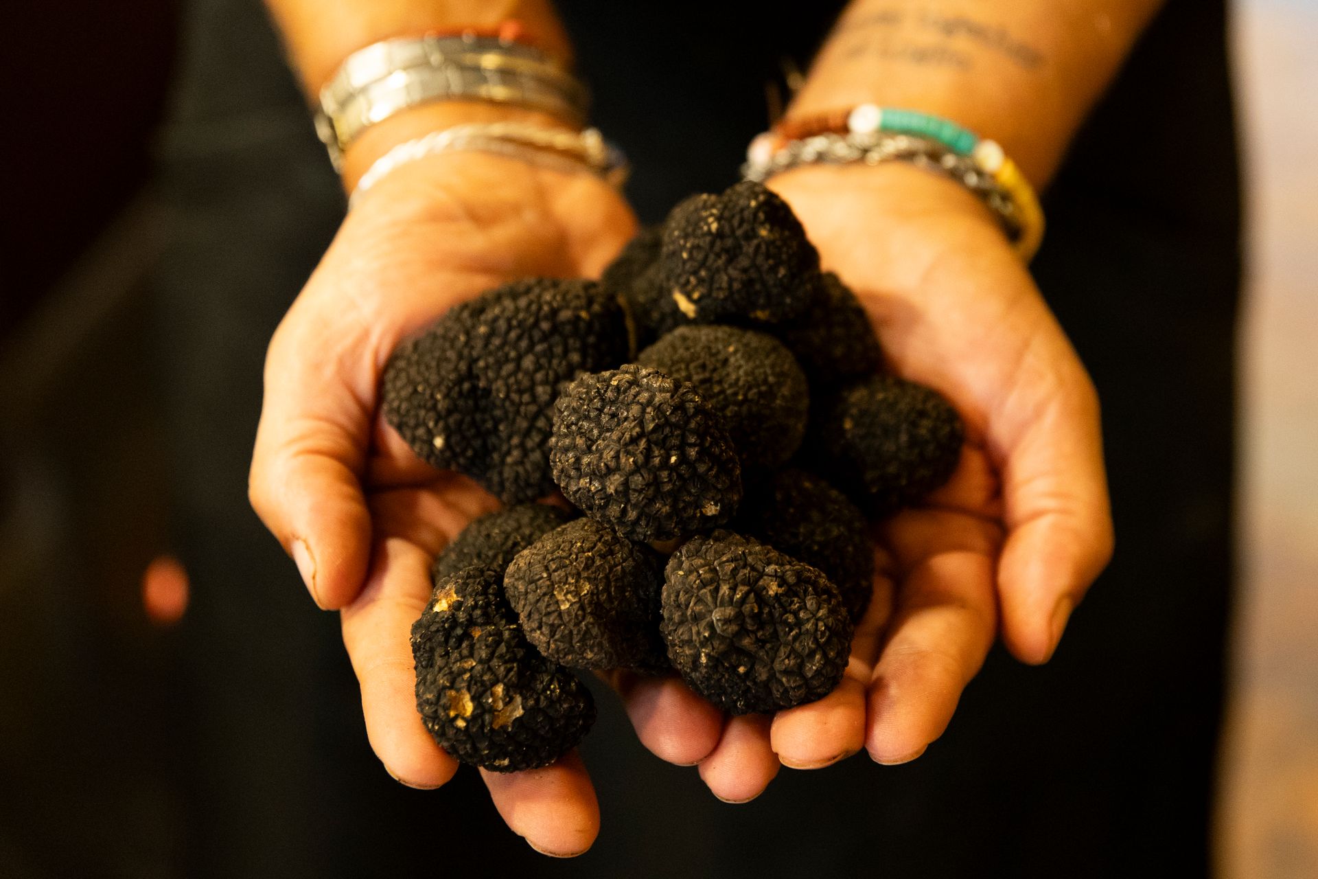 Funghi porcini e tartufo bianco e nero su tagliere di legno