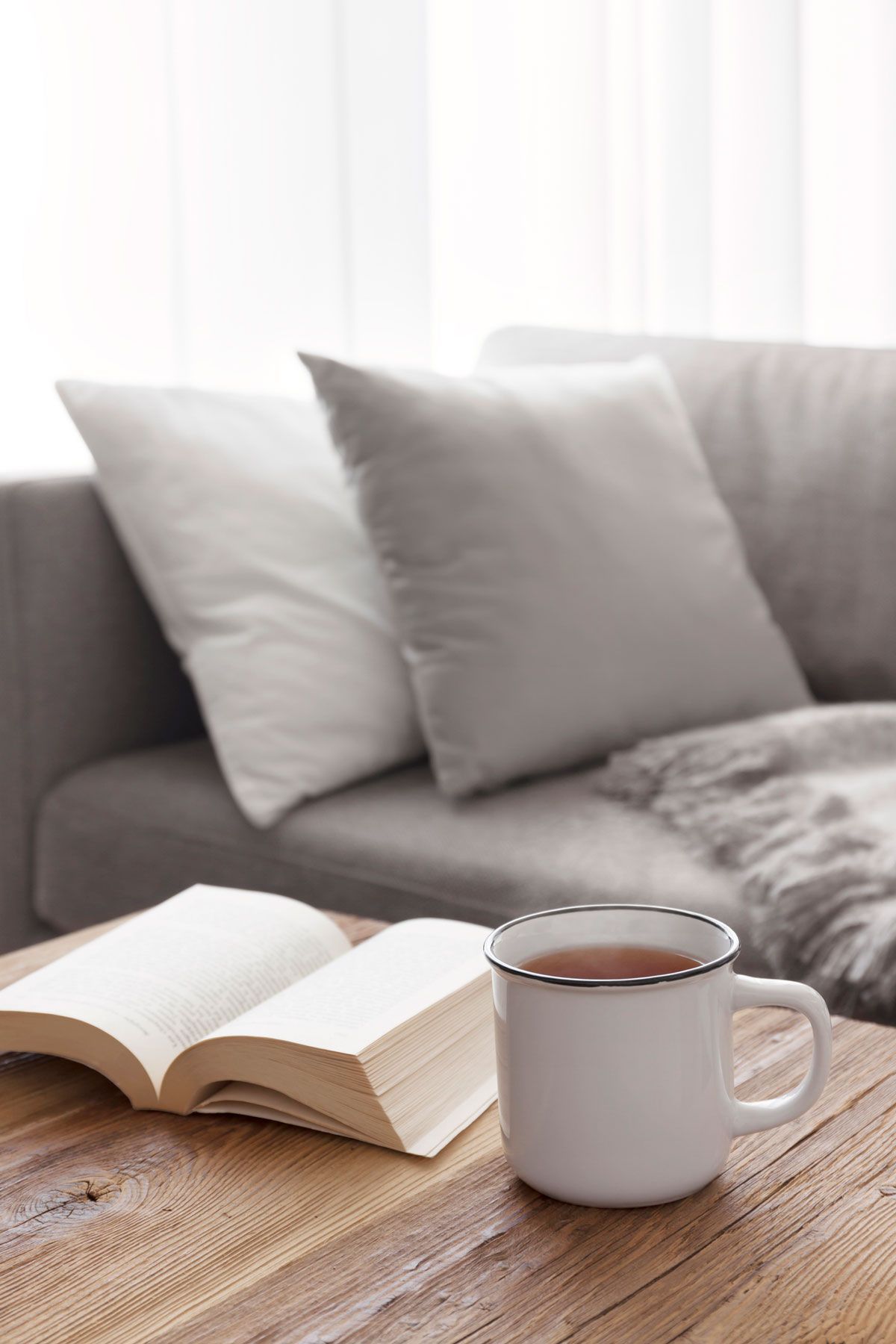Photo of a living room couch