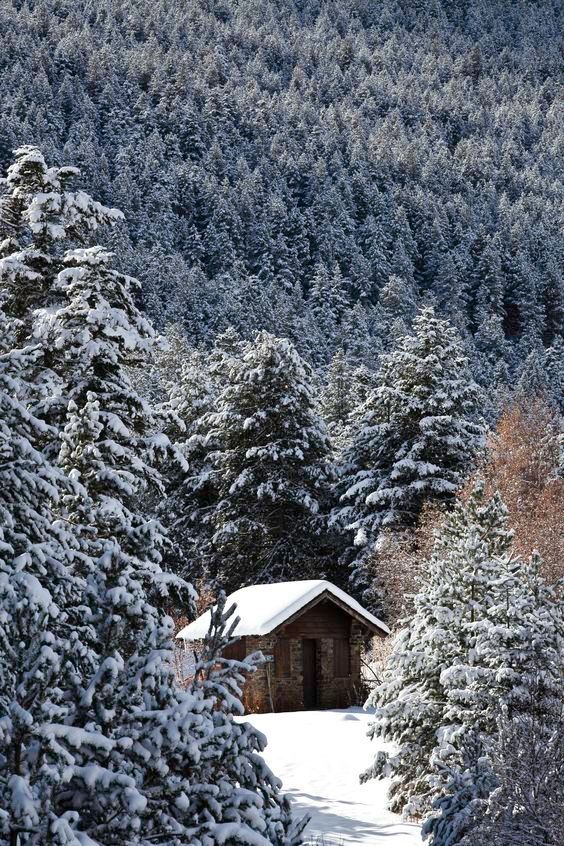 Una cabaña en medio de un bosque nevado en andorra. naturaleza calma y relax