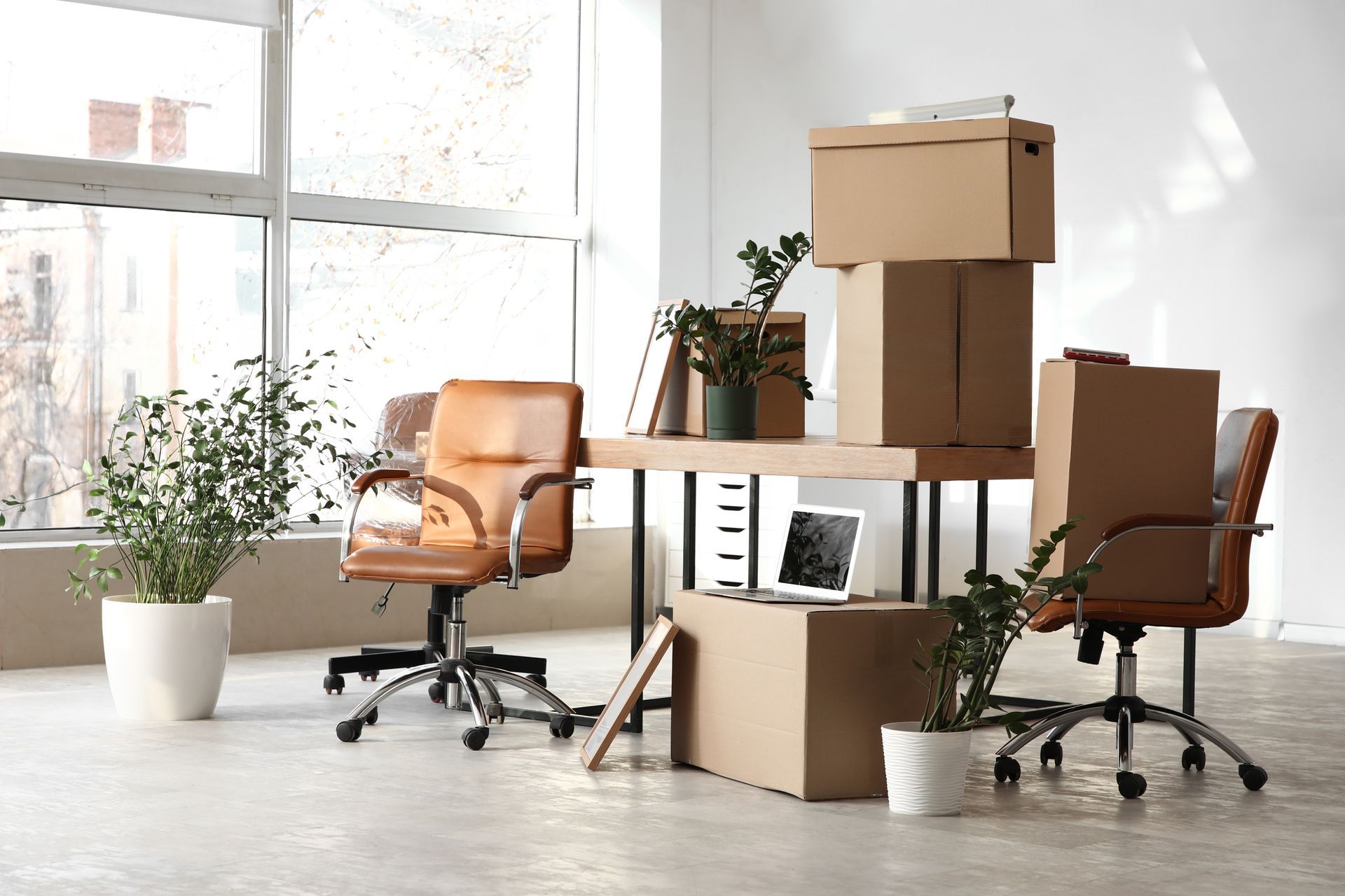 Boxes by a window in a room, with a small plant and curtains nearby. Cardboard moving boxes stacked in an office with desks, chairs and plants.