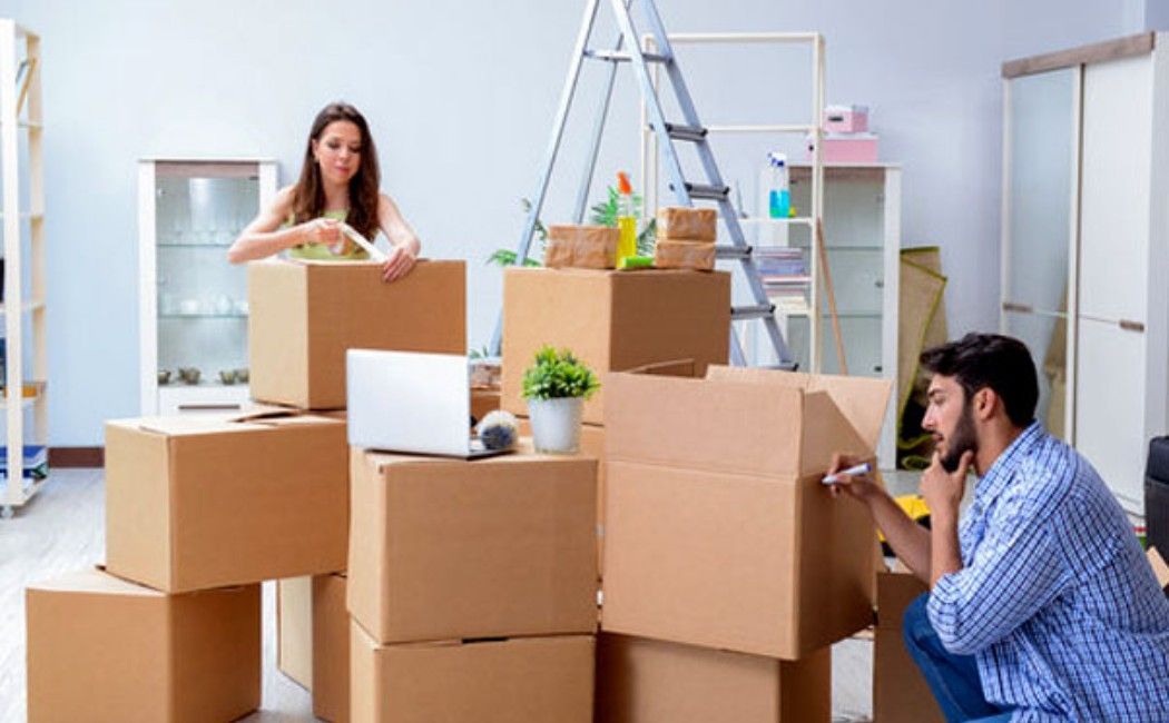 Two people moving cardboard boxes in a bright room with a ladder and houseplants