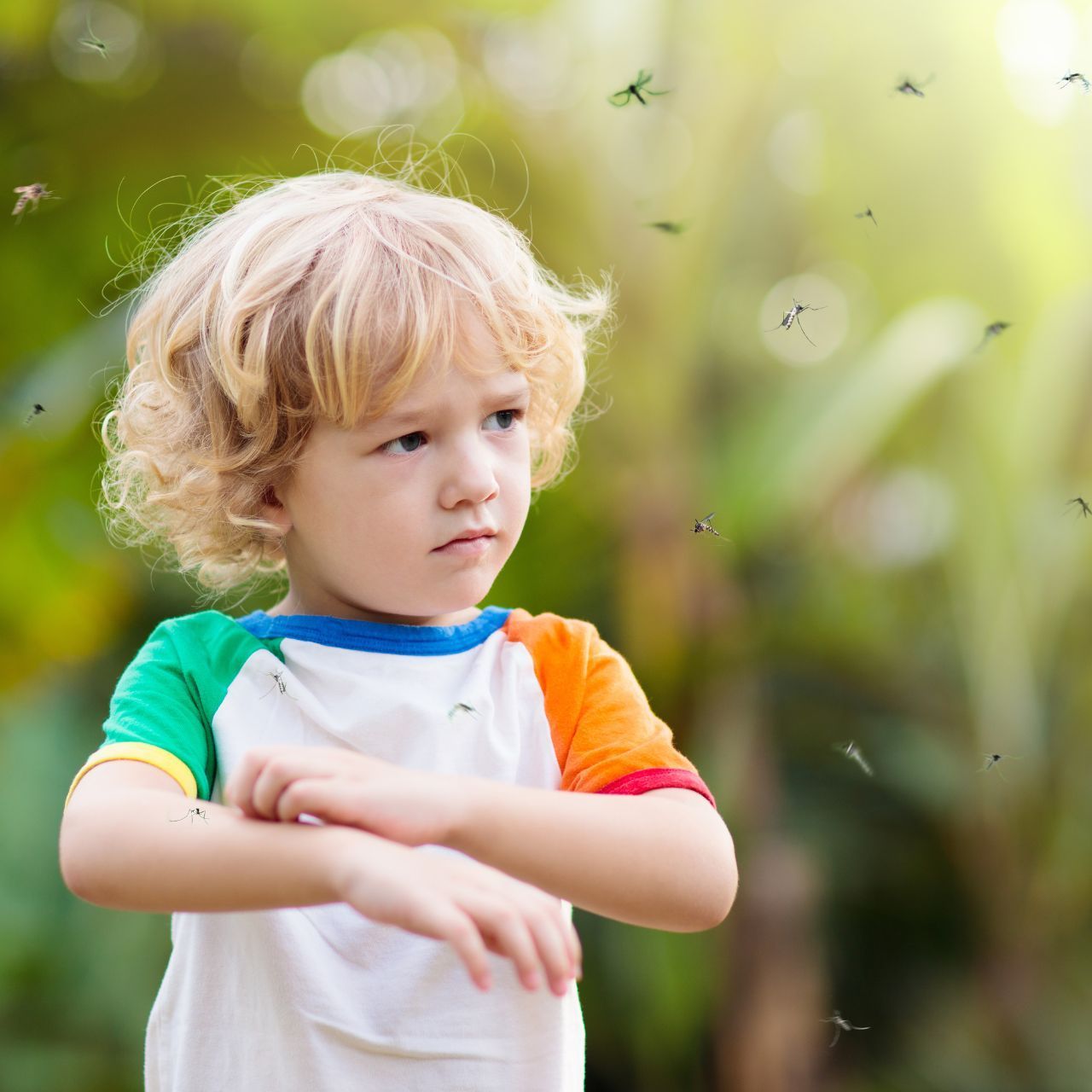 A little boy with mosquitoes flying around him