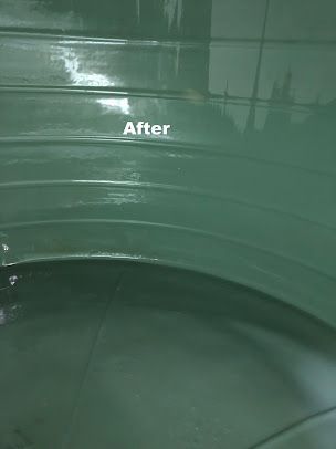 A Close Up Of The Inside Of A Gree Water Tank — Alligator Water Tank Cleaning In Pomona, QLD