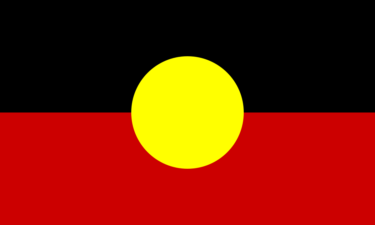 Aboriginal Flag — Repairs & Maintenance in Pomona, QLD