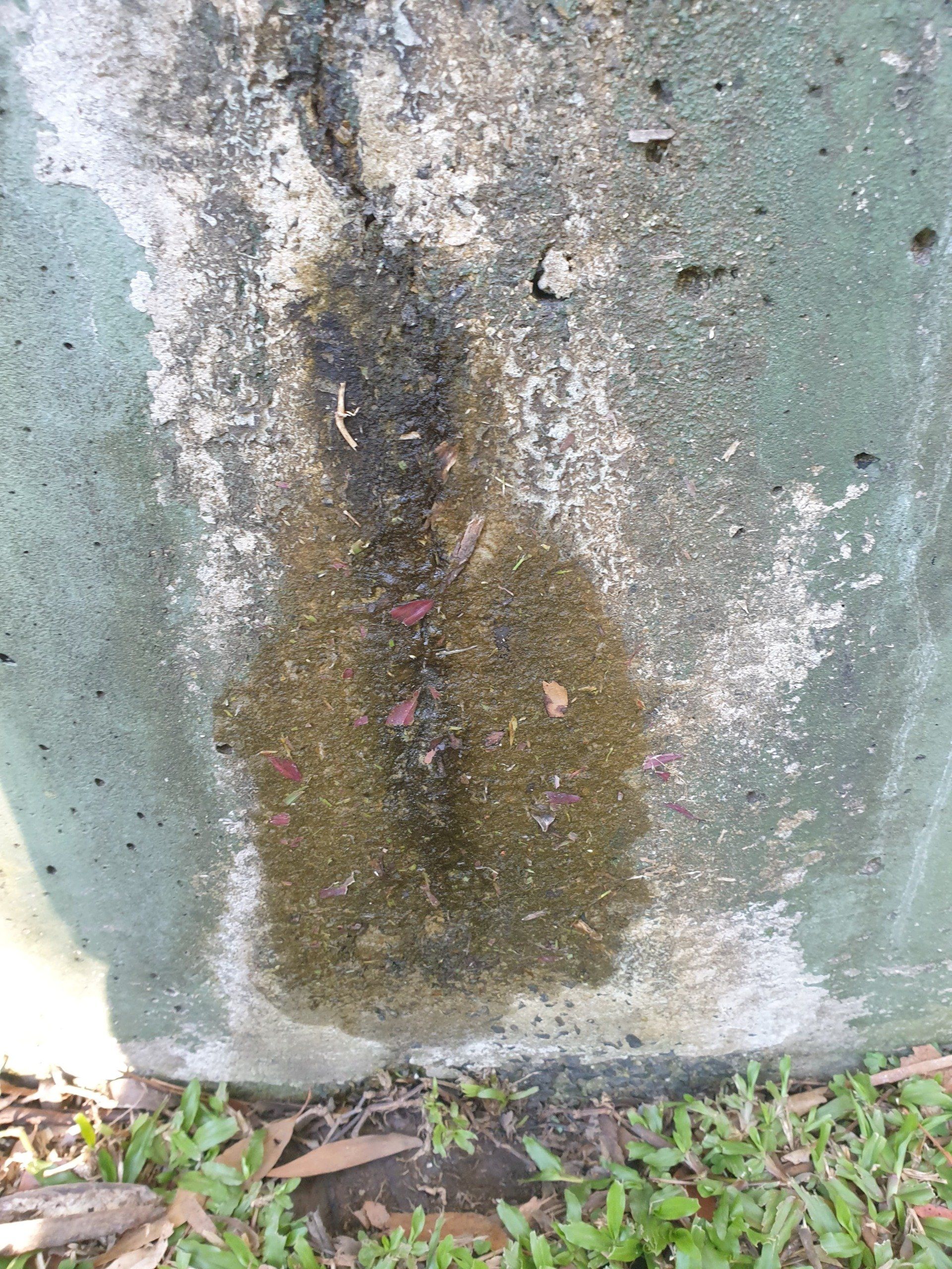 A Close Up Of A Concrete Wall With A Hole In It — Alligator Water Tank Cleaning In Pomona, QLD