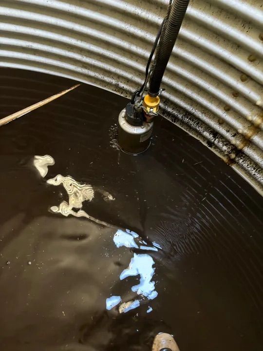 A Close Up Of A Dirty Water Inside Of The Tank — Alligator Water Tank Cleaning In Pomona, QLD