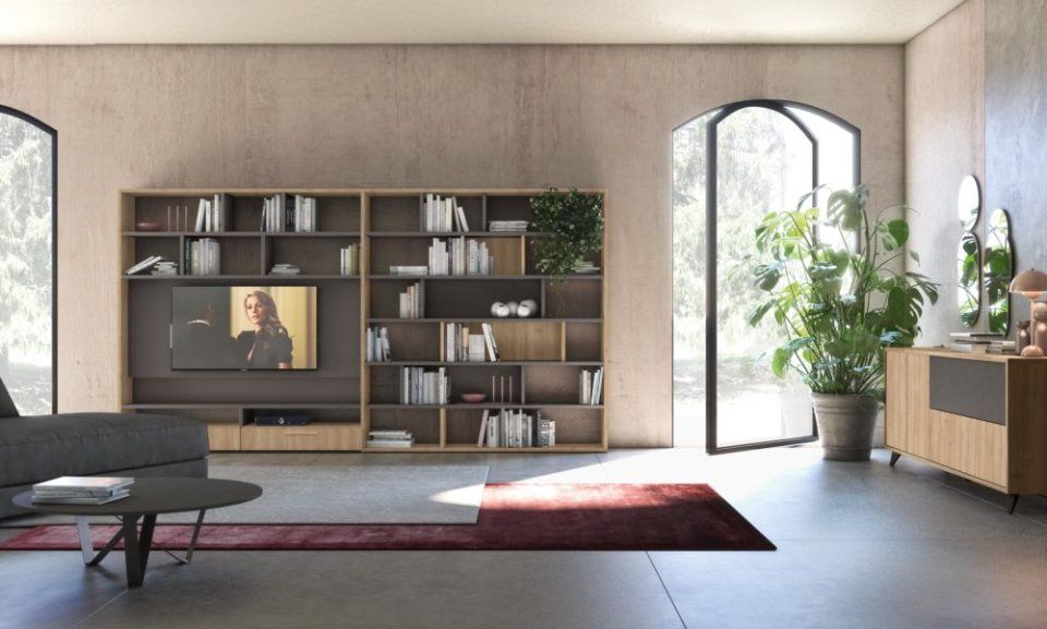 Soggiorno con libreria in legno, TV, libri, pianta in vaso, porta ad arco e tappeto.