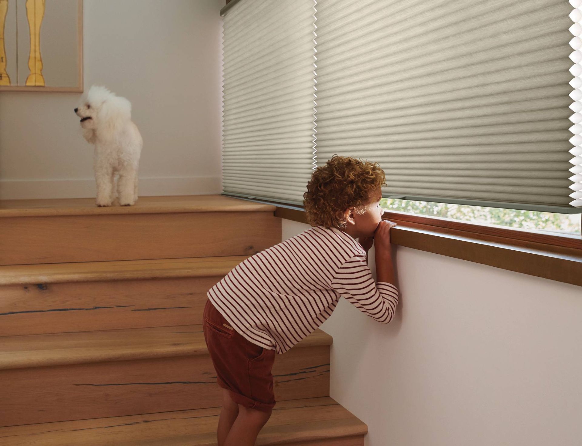 Boy peeking out a window beneath kid-safe cordless Duette® cellular shades.