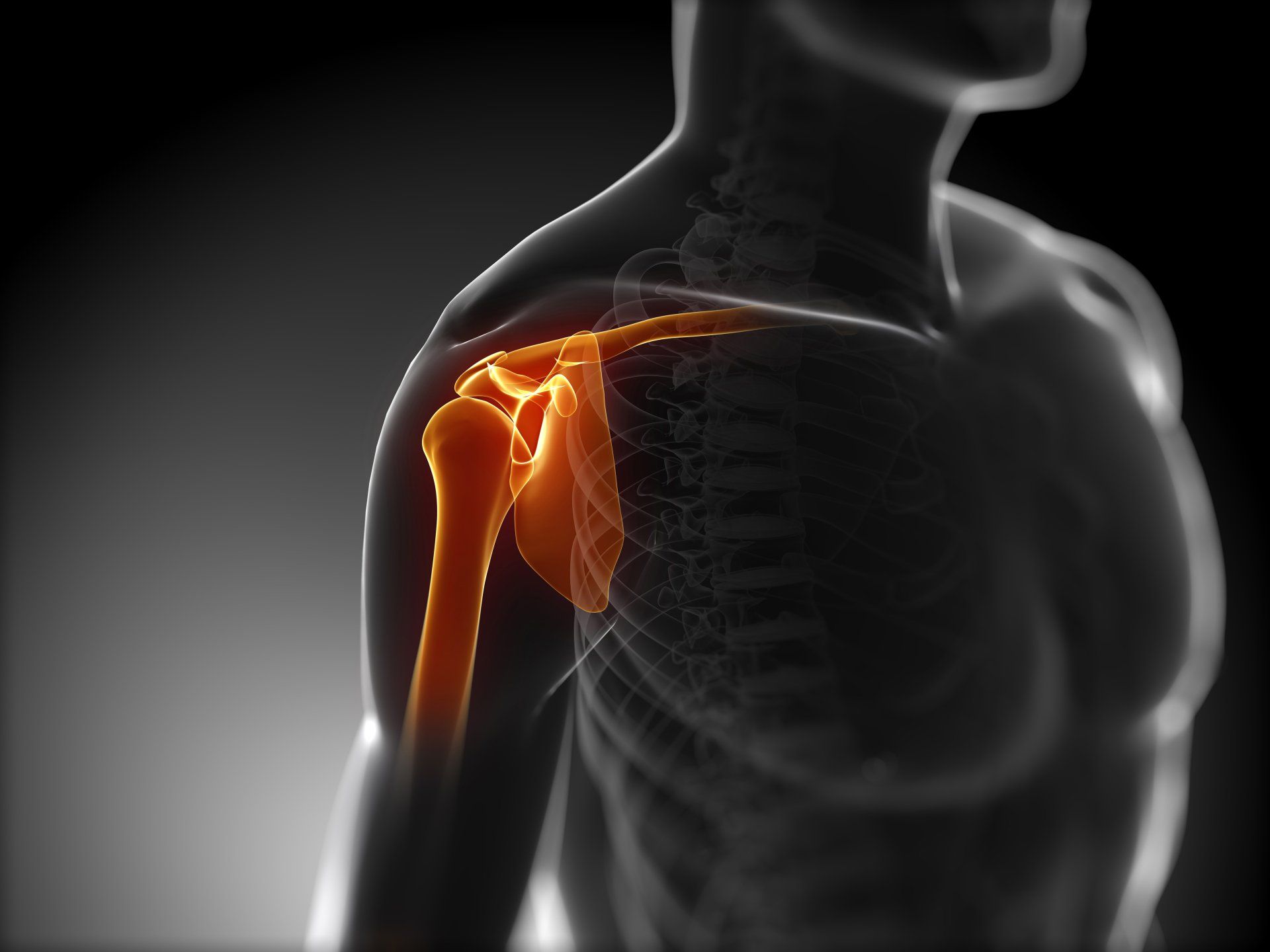 3d rendered medical illustration - painful shoulder