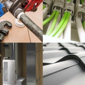 Mold inspections