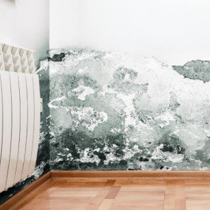 Mold