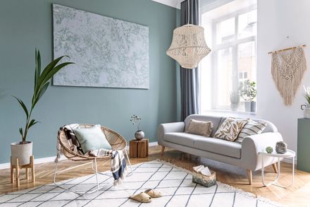 A living room with a sage green wall, a grey sofa, a woven lounge chair, and a patterned rug on wooden floors.