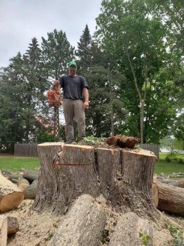 Worker Cutting Tree — Gillett, WI — Casey’s Tree Service Worker Cutting Tree — Gillett, WI — Casey’s Tree Service