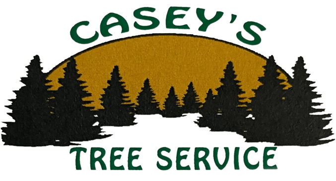 Casey’s Tree Service Casey’s Tree Service