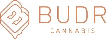 Voted One of the Top Dispensaries in Connecticut: BUDR Cannabis Expands with Its Fourth Location! - photo 2