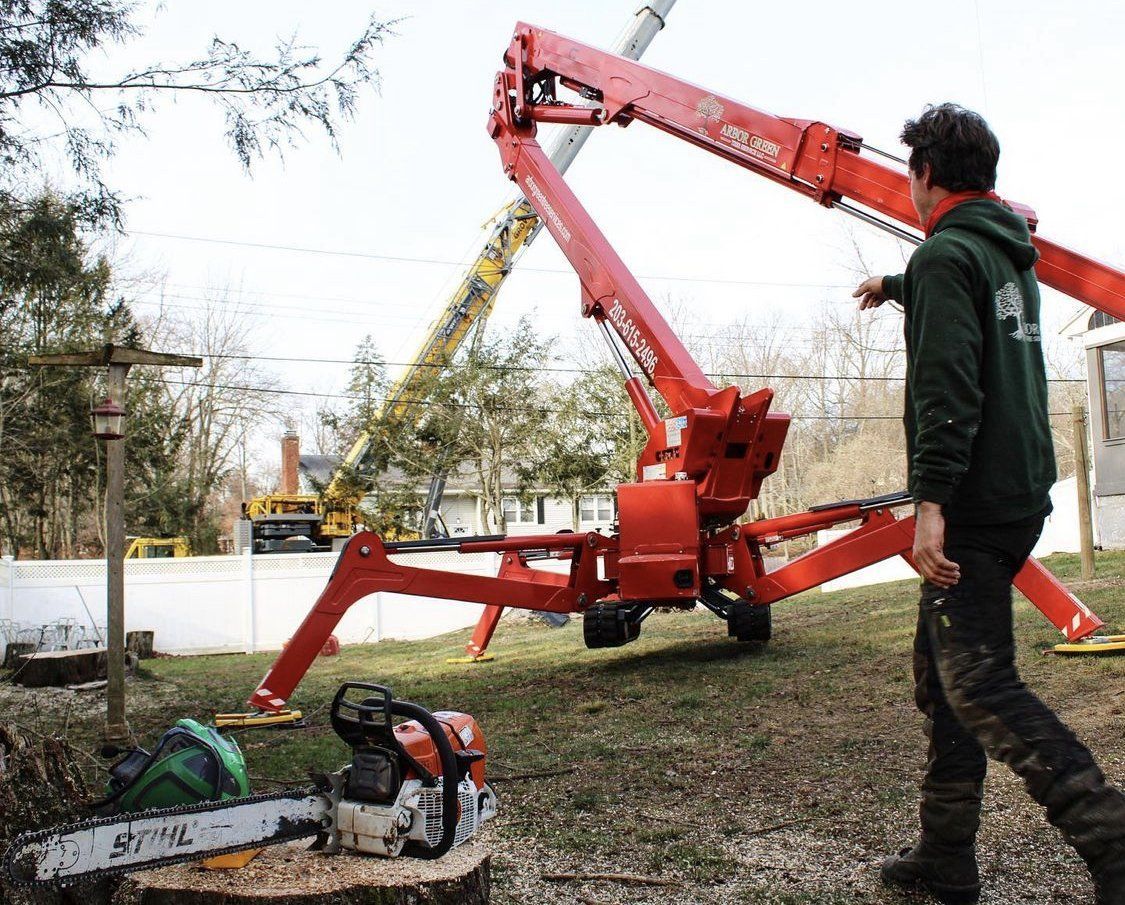Arbor Green is Connecticut’s Fastest Growing Tree Service