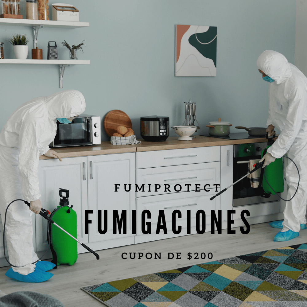 Fumigaciones | Fumicity