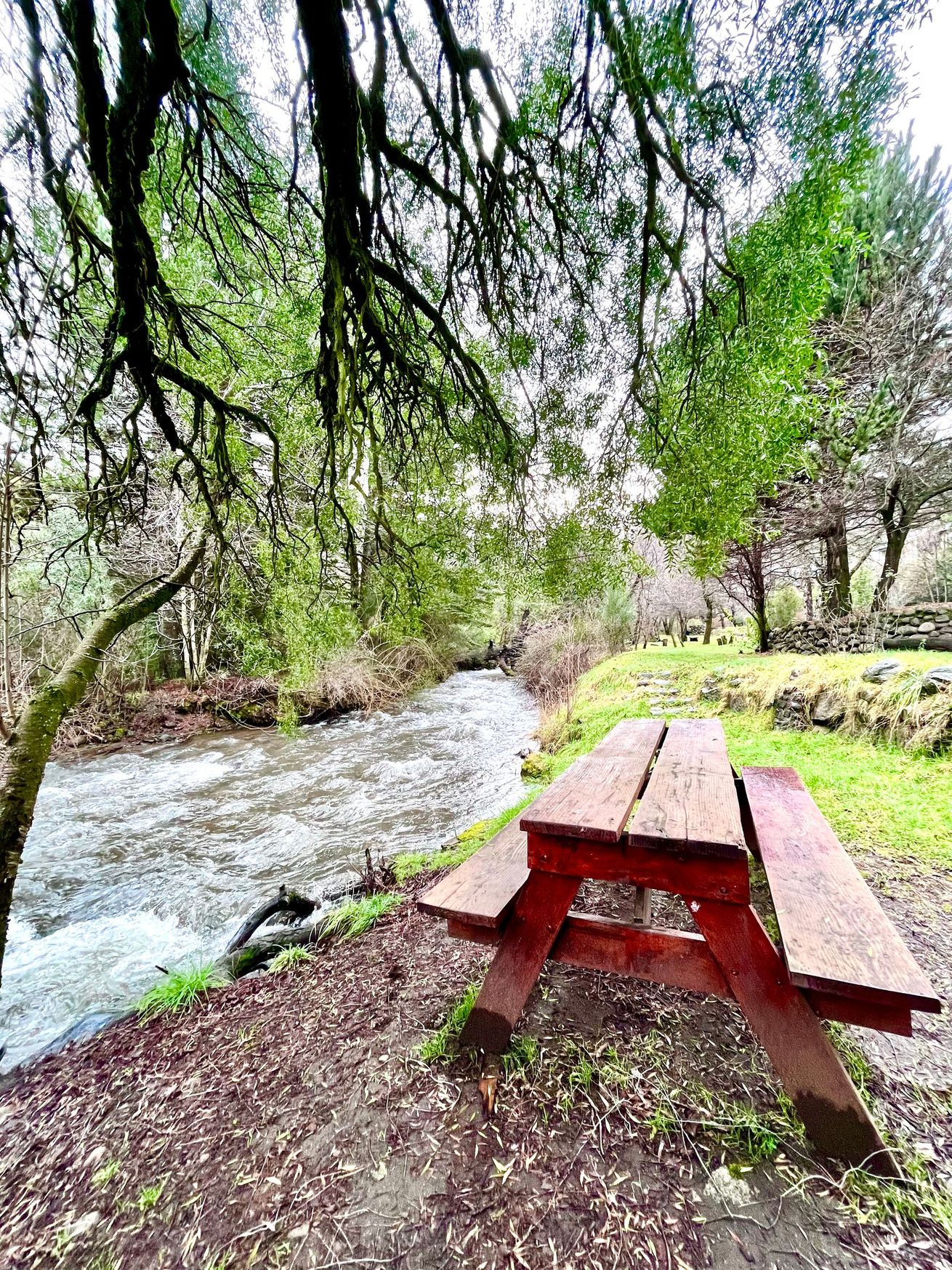 Mesa de picnic roja junto a un arroyo caudaloso bajo los árboles en un parque arbolado.