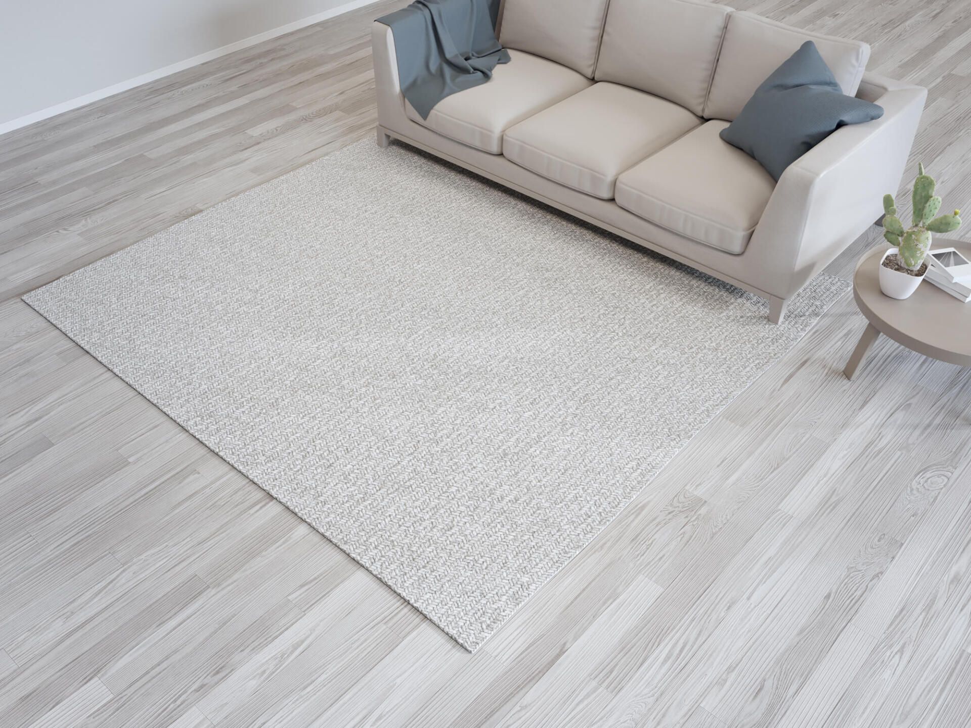Carpet Removal