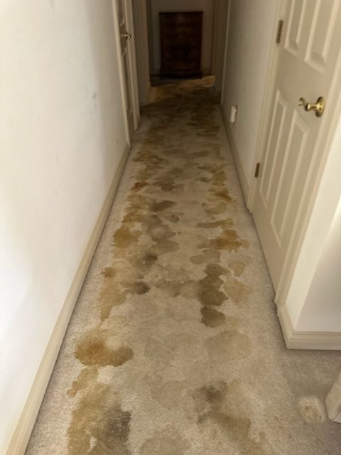 A long hallway with a dirty carpet and a door.