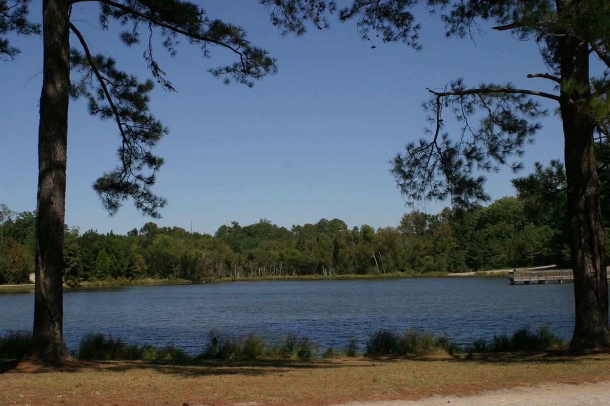 Lake view framed by trees; blue water, green trees, clear sky.