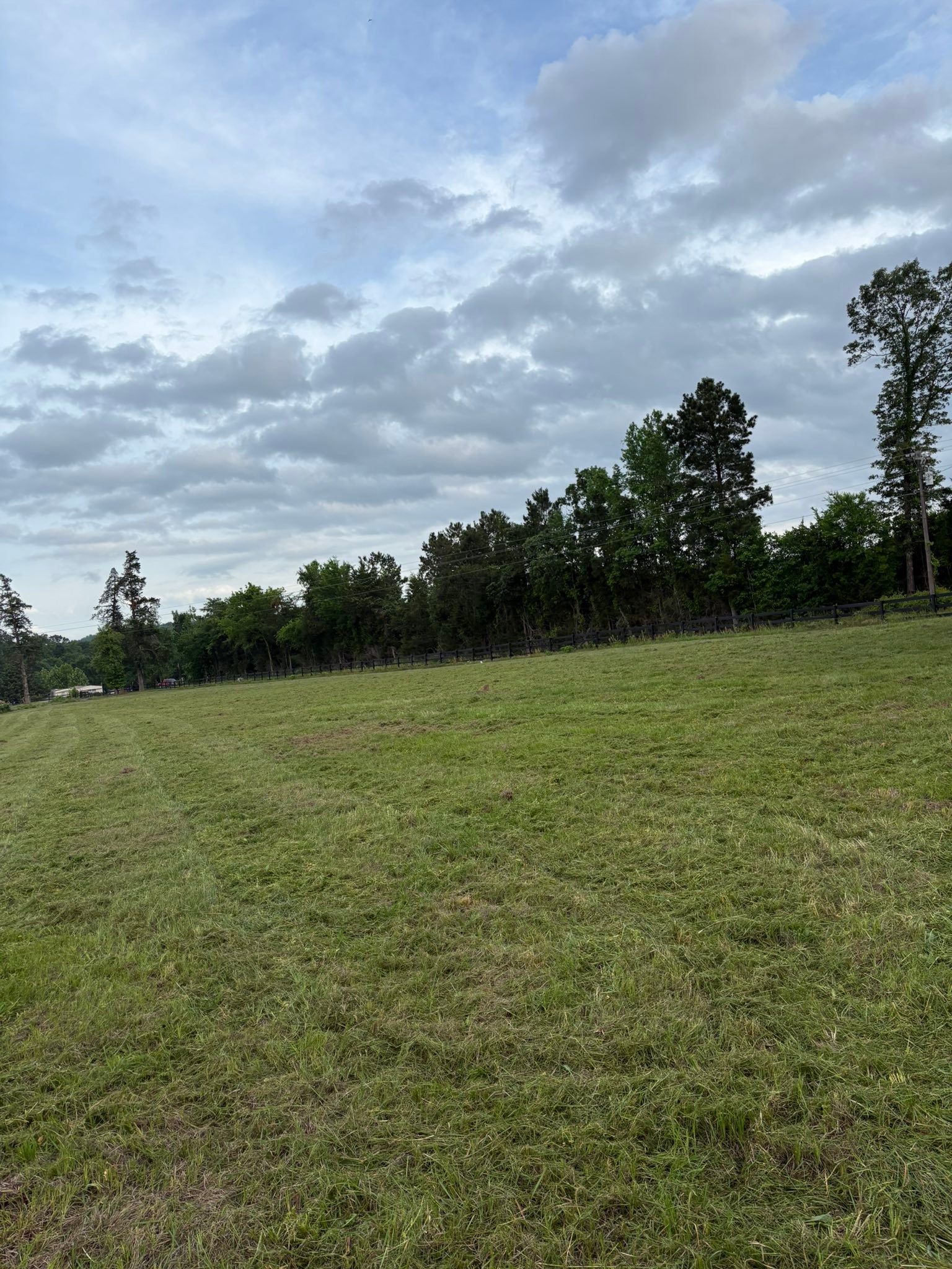 Grassy field under a cloudy sky, with trees lining the horizon.