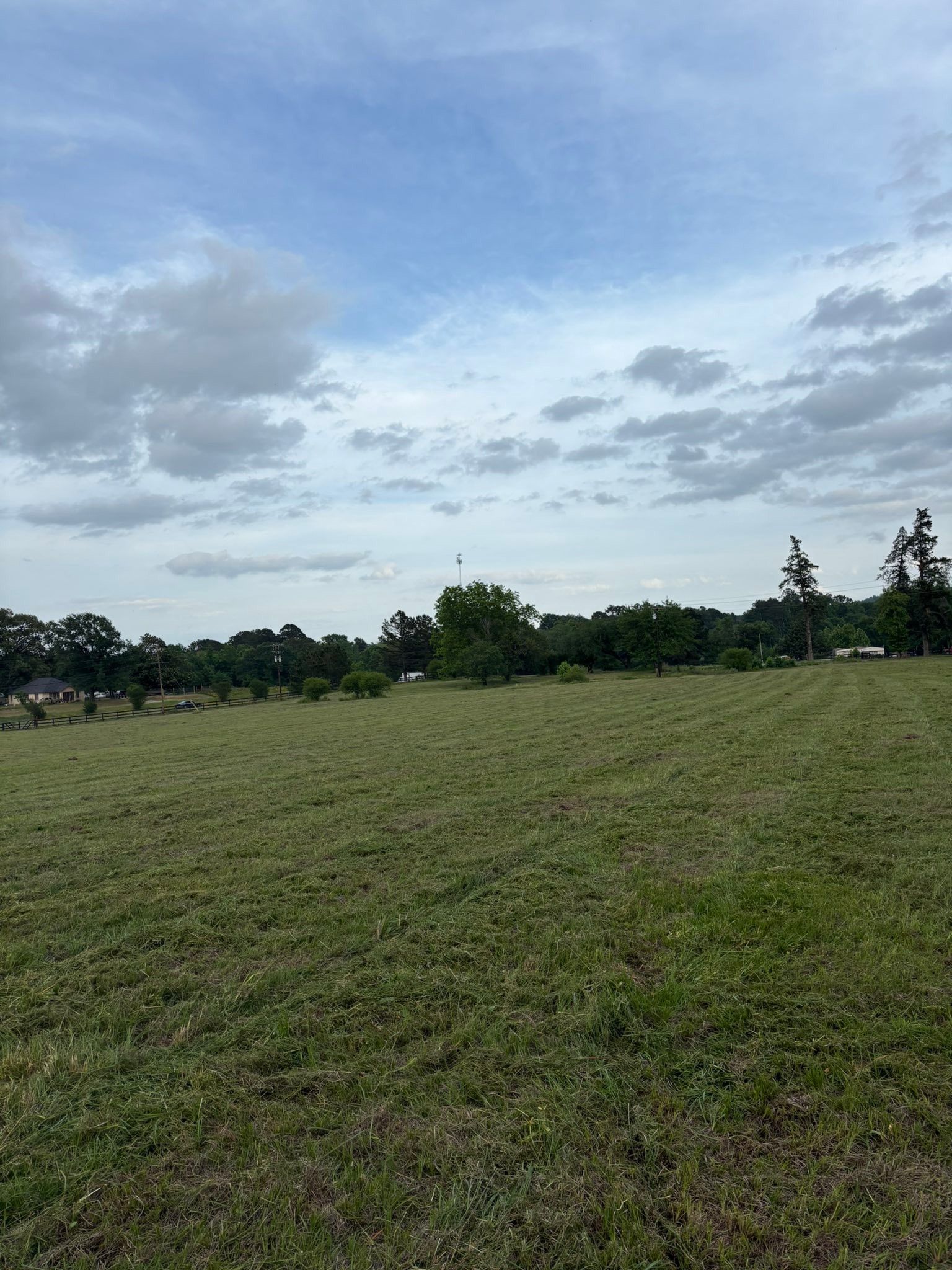 Open grassy field under a cloudy blue sky, with trees lining the horizon.