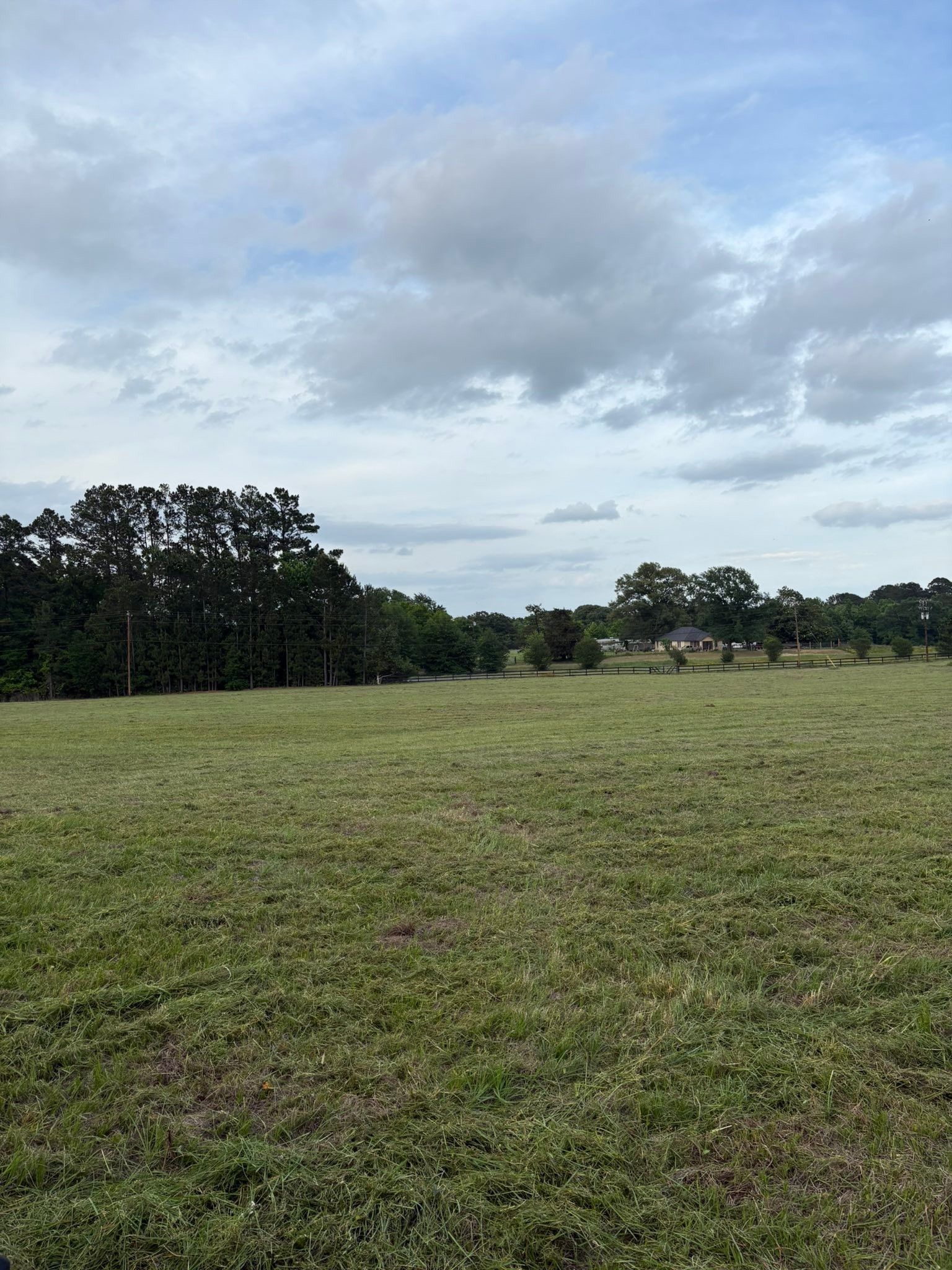 Open grassy field under a cloudy sky with trees along the horizon