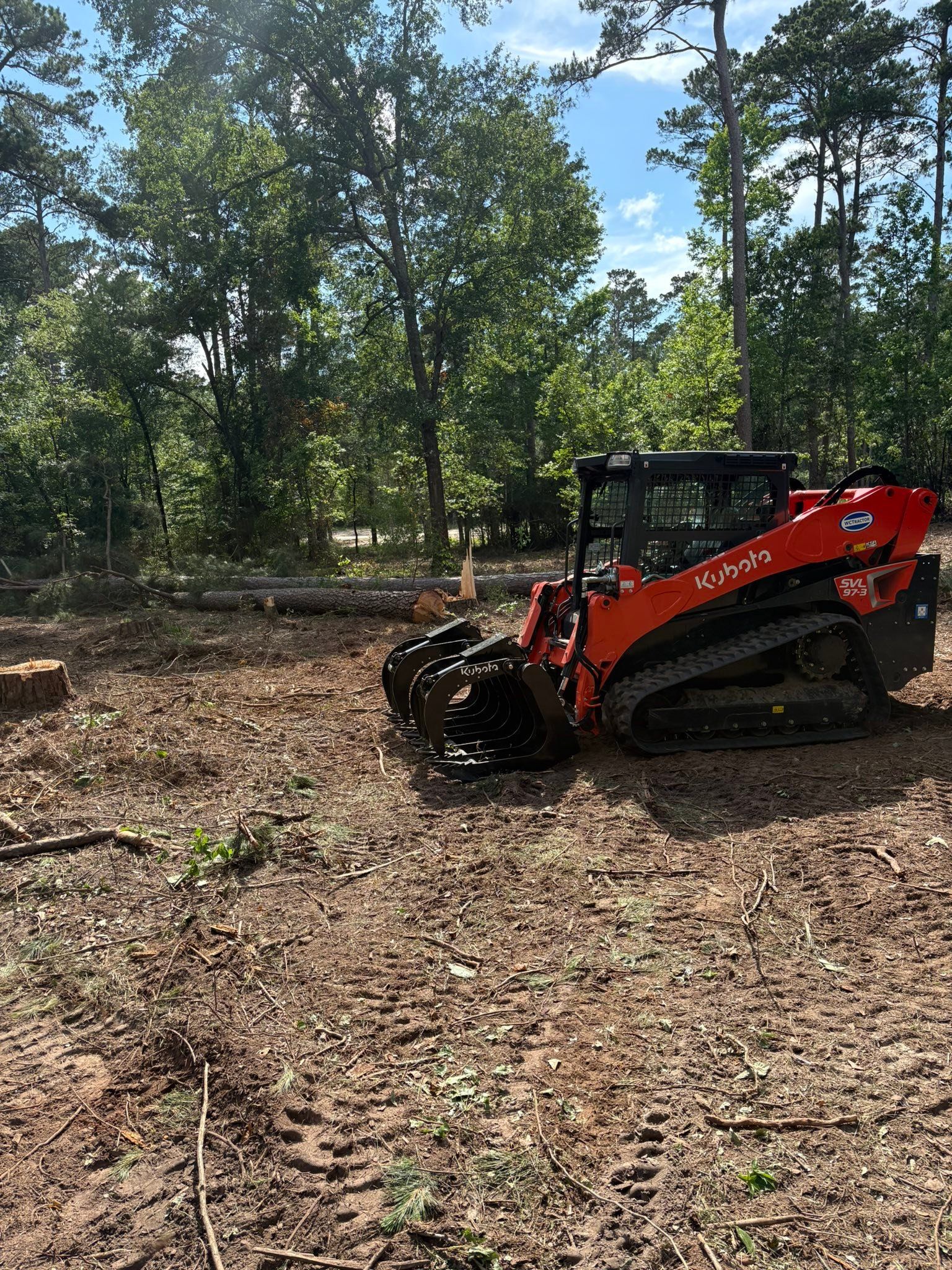Orange skid steer loader on a leaf-covered forest clearing under tall trees.
