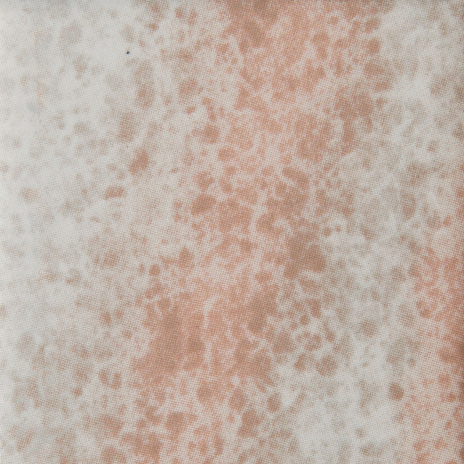 Foglio decalcomania Rosa bellissimo